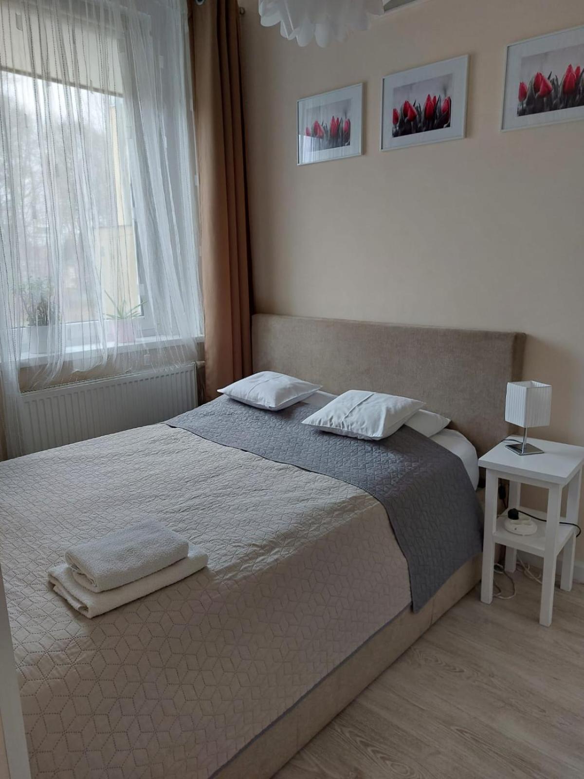 Come&Stay Zielona Gora Buitenkant foto